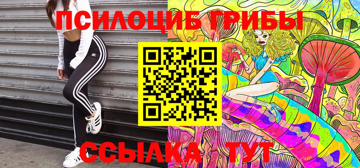 Псилоцибиновые грибы GOLDEN TEACHER Коркино