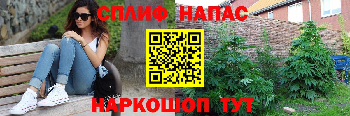 Бошки Шишки сатива  Шишки марихуана конопля  Бошки Шишки сатива  Вход с VPN  Коркино  Шишки марихуана марихуана 